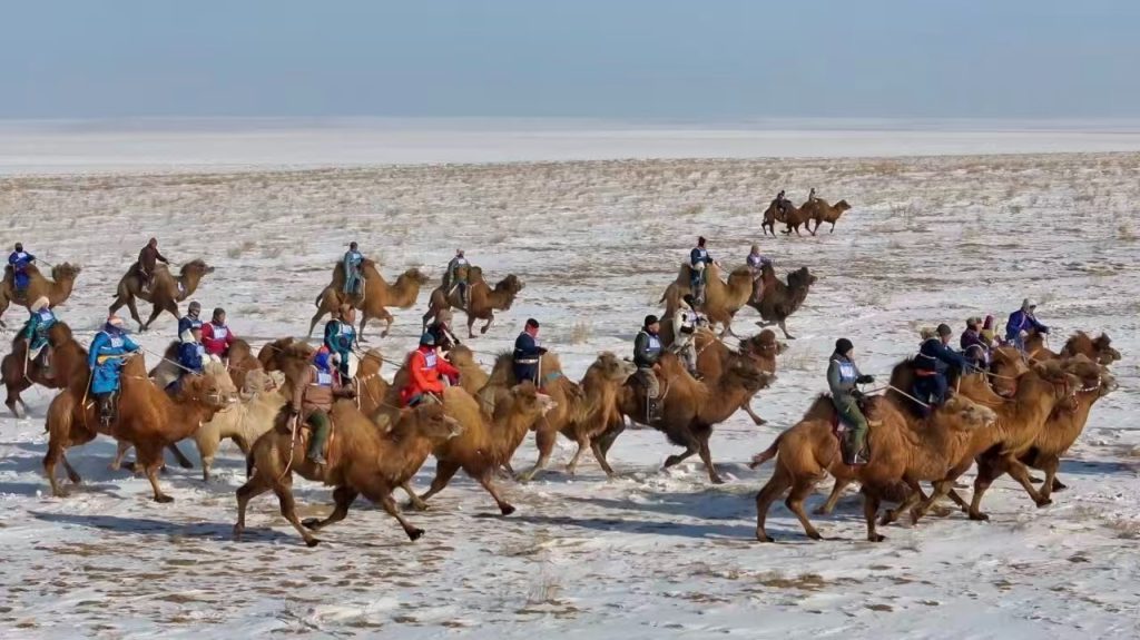 /var/www/clients/client1/web6/web/wp-content/uploads/2026/01/20260115_0702