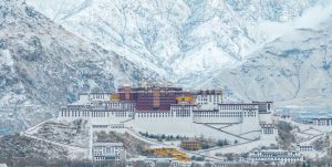 /var/www/clients/client1/web6/web/wp-content/uploads/2026/01/20260115_2642