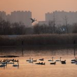 Ambiente, migliorano i parametri in Cina nel 2025