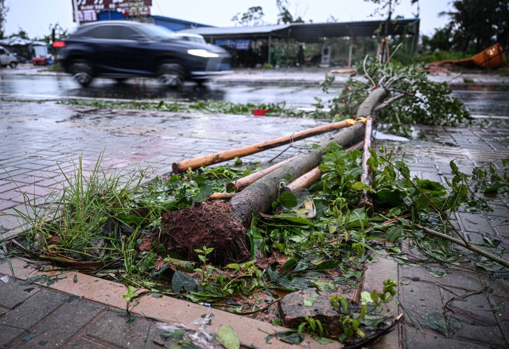 /var/www/clients/client1/web6/web/wp-content/uploads/2026/01/20260126_2731