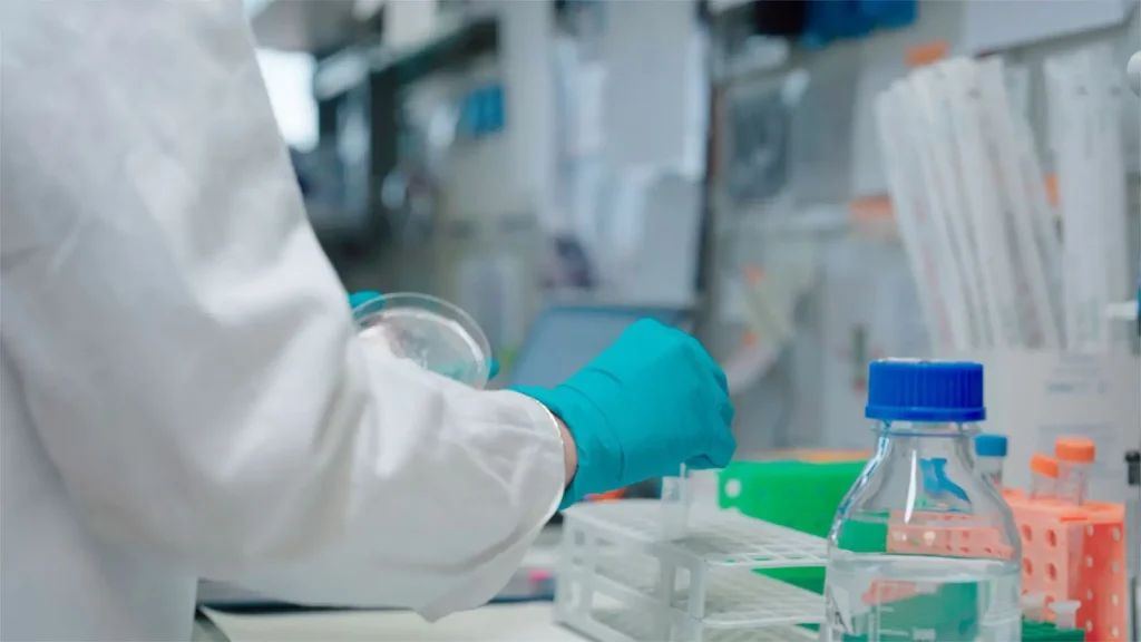 /var/www/clients/client1/web6/web/wp-content/uploads/2026/01/20260128_0576