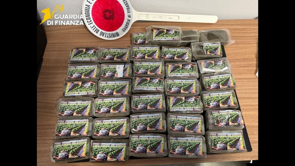 /var/www/clients/client1/web6/web/wp-content/uploads/2026/01/20260130_0141