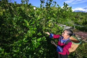 /var/www/clients/client1/web6/web/wp-content/uploads/2026/02/20260204_3361