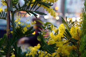 /var/www/clients/client1/web34/web/wp-content/uploads/2026/02/20260220_1312