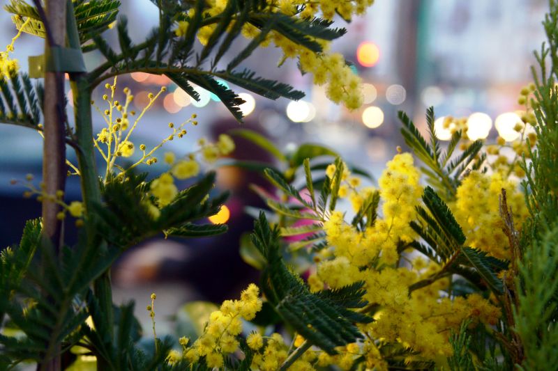 /var/www/clients/client1/web34/web/wp-content/uploads/2026/02/20260220_1312