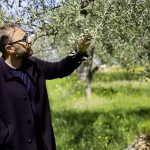 Casa Grazia dall’1 al 3 marzo a Verona per la seconda edizione di Sol Expo