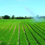 Europa-Mercosur, domani a Palermo convegno sugli effetti in Sicilia degli accordi commerciali