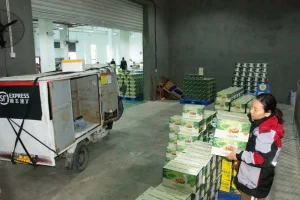 /var/www/clients/client1/web34/web/wp-content/uploads/2026/03/20260320_2227