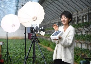 /var/www/clients/client1/web34/web/wp-content/uploads/2026/03/20260325_2909