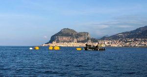 651223873_10240985072993986_8469735776939676479_n