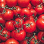 Dalla Sicilia una sentenza storica per l’Itala: la Corte di Cassazione conferma la responsabilità per riproduzione illegale di varietà vegetali protette