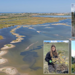 La Sicilia laboratorio di restauro ambientale: due esperienze a confronto con la Società di Scienze Naturali 