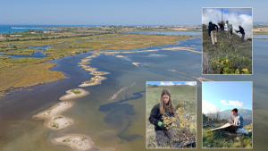 sssn_ripristino_ambientale