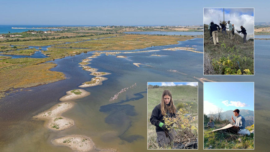 sssn_ripristino_ambientale