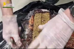 /var/www/clients/client1/web34/web/wp-content/uploads/2026/04/20260403_0451