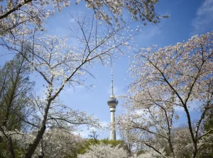 /var/www/clients/client1/web34/web/wp-content/uploads/2026/04/20260403_0452