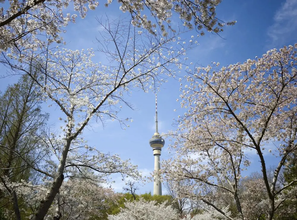 /var/www/clients/client1/web34/web/wp-content/uploads/2026/04/20260403_0452