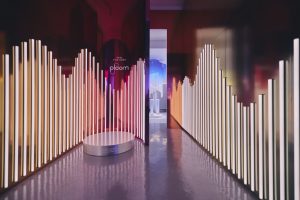 /var/www/clients/client1/web34/web/wp-content/uploads/2026/04/20260421_0469