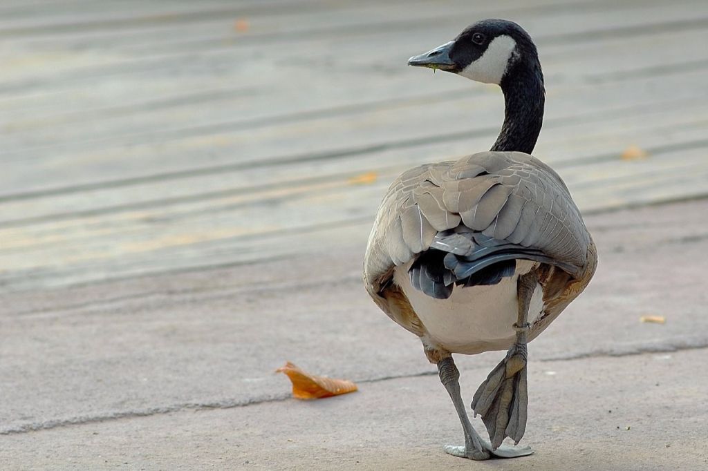 /var/www/clients/client1/web34/web/wp-content/uploads/2026/04/20260421_0941