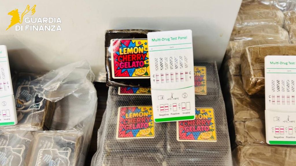 /var/www/clients/client1/web34/web/wp-content/uploads/2026/04/20260423_0111