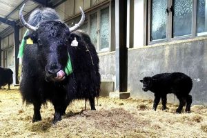 /var/www/clients/client1/web34/web/wp-content/uploads/2026/04/20260428_2673