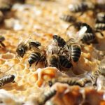 PHOTO-2026-04-23-14-53-33