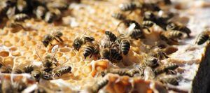 PHOTO-2026-04-23-14-53-33