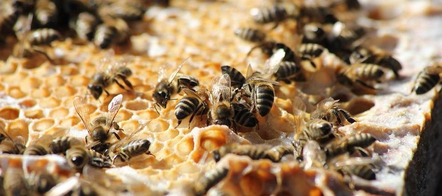 PHOTO-2026-04-23-14-53-33