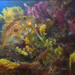 “Il valore della biodiversità attraversa lo Stretto di Messina”