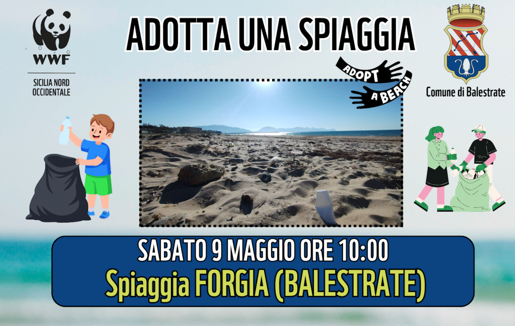 1ffebaa2-ff90-9027-74c3-5d73b7921108