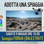 1ffebaa2-ff90-9027-74c3-5d73b7921108