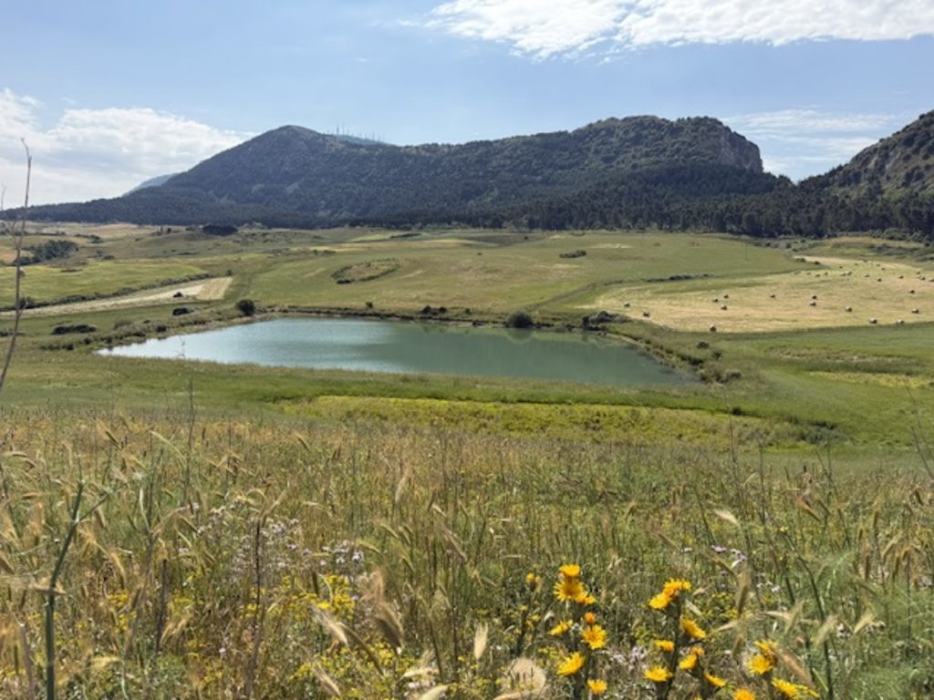 Agricoltura