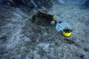 Reperti Lampedusa01