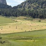 Agricoltura, 11,3 milioni per incentivare la diversificazione delle attività: pubblicata le graduatoria
