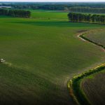 Portavoce Cina, pronti a facilitare commercio agricolo bilaterale con Usa