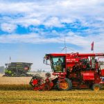 Cina, per la prima volta il raccolto di cereali estivi supera 150 mln tonnellate