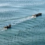 Cina, l’economia marittima segna una crescita costante nel primo semestre