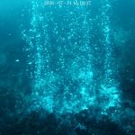 Panarea, scoperti nuovi camini idrotermali e un grande cratere sottomarino al largo dell’isola