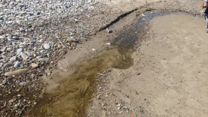 scarico liquami da tombini