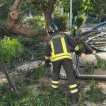 Crisi climatica e crolli improvvisi di alberi a Palermo