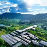 La Cina promuove lo sviluppo di reti elettriche di nuova generazione