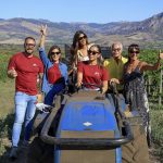 Casa Grazia, al via il progetto vitivinicolo sull’Etna con la raccolta di Nerello Mascalese