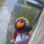 Droga comprata con il reddito di cittadinanza, 24 indagati tra Catanzaro e Vicenza