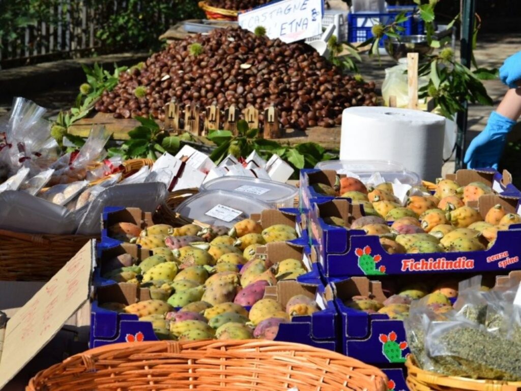 SAGRA_FICODINDIA_ALIMENA_ (5)