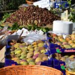 SAGRA_FICODINDIA_ALIMENA_ (5)